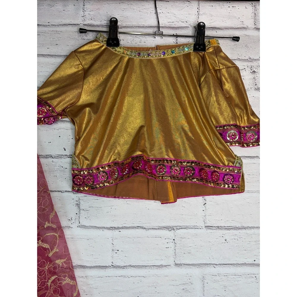 Chasing Fireflies Wishcraft Maharani Costume Girls 8 Pink Gold